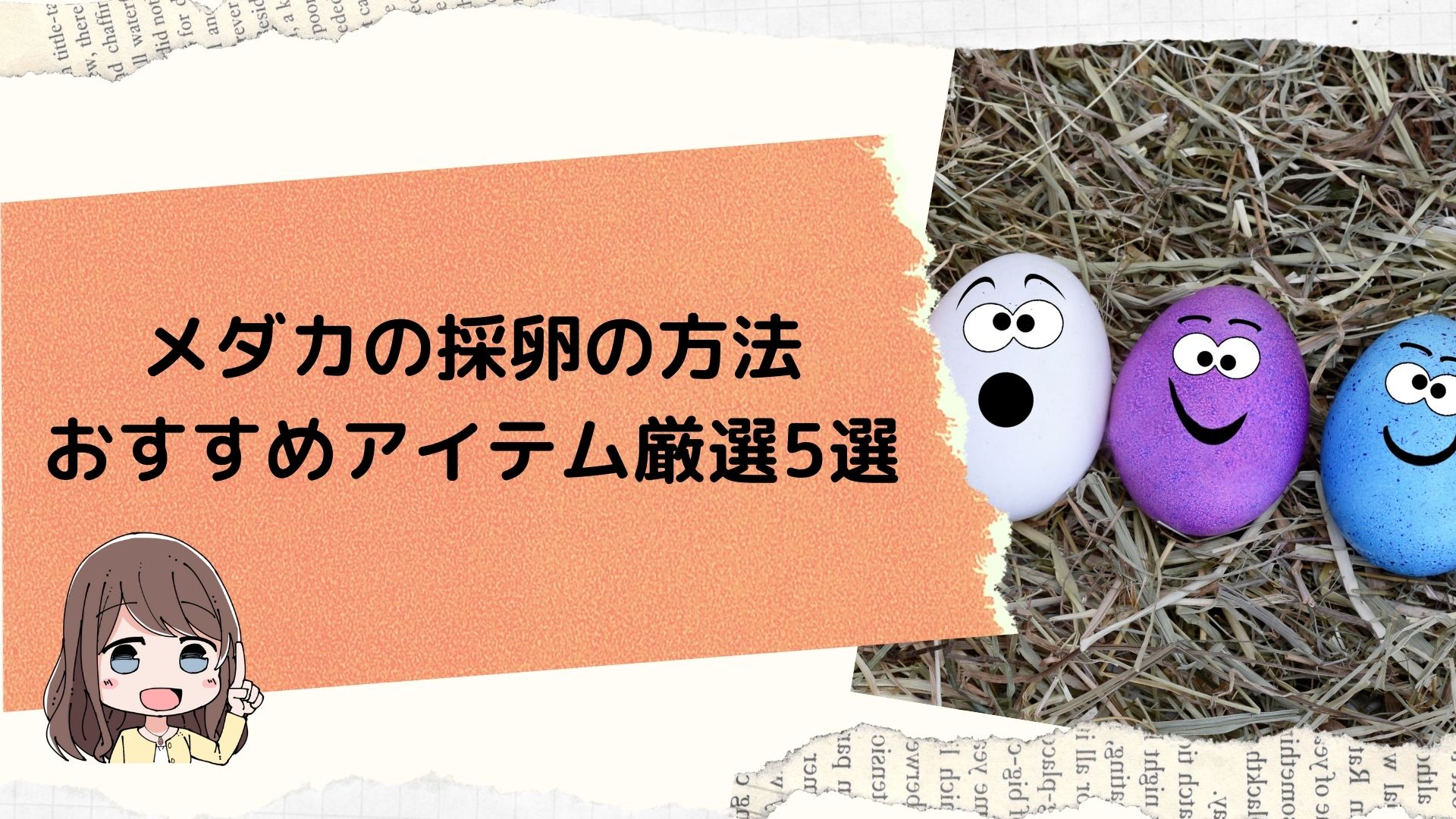 メダカが卵を産んだら これを使え メダカの採卵の方法とおすすめアイテム厳選5選 これさえ読めば絶対失敗しない チャコろぐ